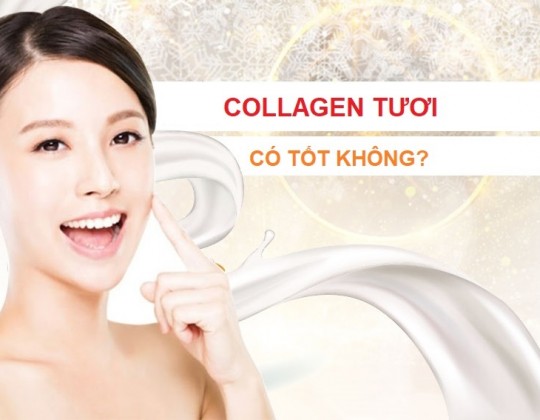 [Góc giải đáp] Collagen tươi có tốt không?